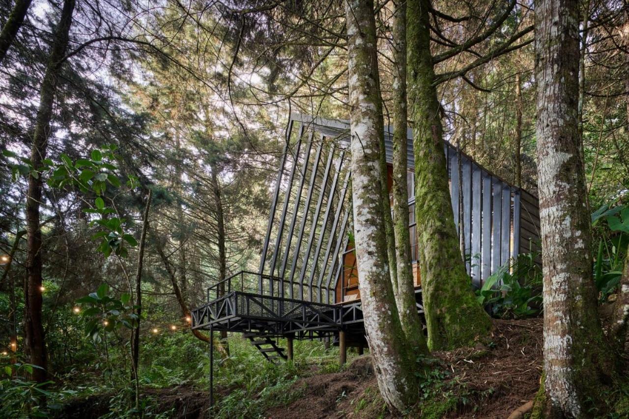 Oculto Refugio De Bosque Hotel Envigado Eksteriør billede