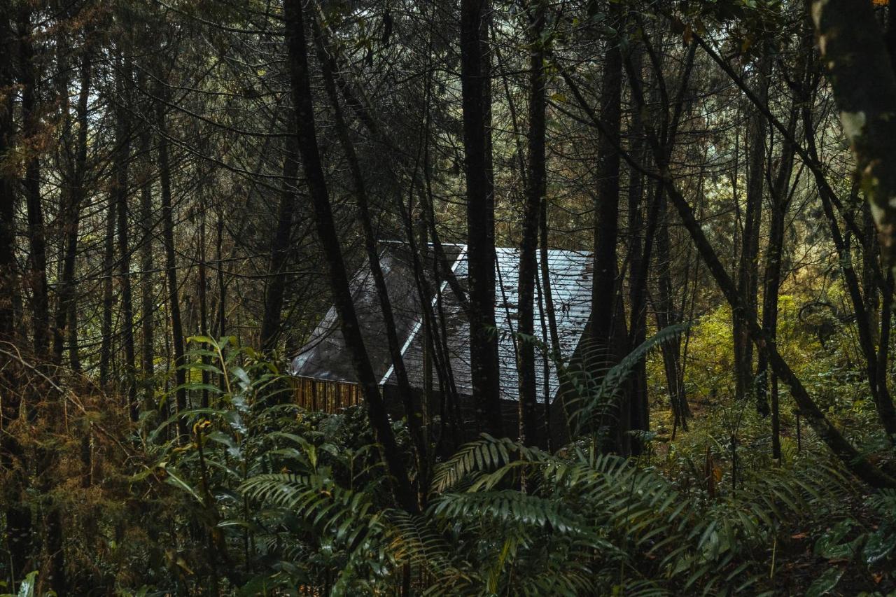 Oculto Refugio De Bosque Hotel Envigado Eksteriør billede